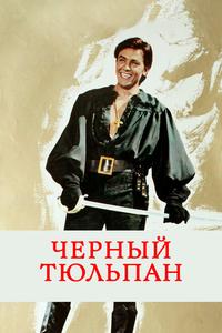 Черный тюльпан Черный тюльпан