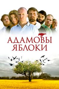 Адамовы яблоки Адамовы яблоки