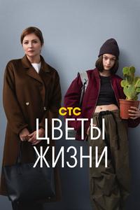 Цветы жизни Цветы жизни