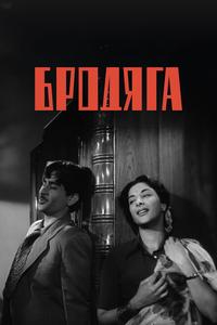 Бродяга Бродяга