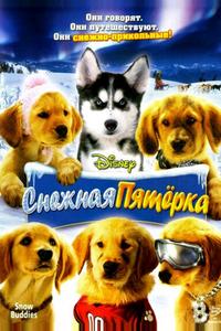 Снежная пятерка Снежная пятерка
