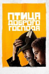 Птица доброго господа