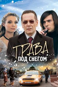 Трава под снегом Трава под снегом