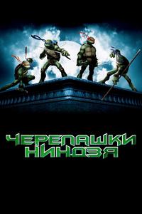 Черепашки Ниндзя Черепашки Ниндзя
