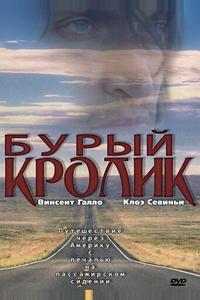 Бурый кролик