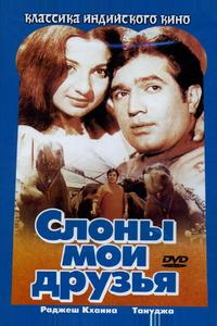 Слоны – мои друзья Слоны – мои друзья