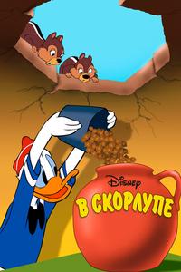 В скорлупе В скорлупе