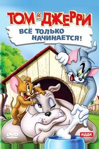 Кот играет в боулинг Кот играет в боулинг