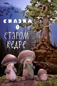Сказка о старом кедре Сказка о старом кедре