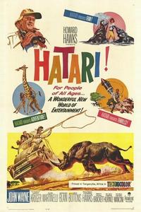 Хатари! Хатари!