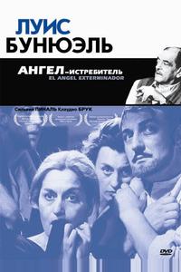 Ангел-истребитель Ангел-истребитель