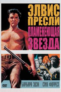 Пламенеющая звезда Пламенеющая звезда