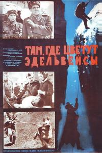 Там, где цветут эдельвейсы Там, где цветут эдельвейсы
