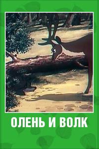 Олень и волк Олень и волк