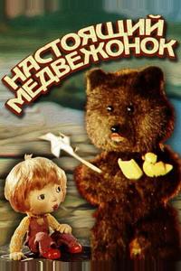 Настоящий медвежонок Настоящий медвежонок