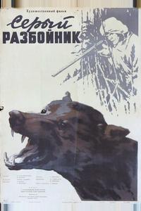 Серый разбойник Серый разбойник