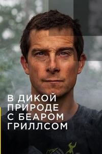 Звездное выживание с Беаром Гриллсом Звездное выживание с Беаром Гриллсом