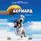 Бернард