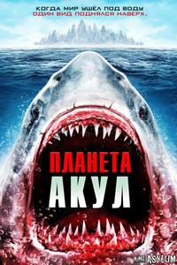 Планета акул Планета акул
