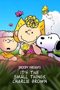 It's the Small Things, Charlie Brown It's the Small Things, Charlie Brown