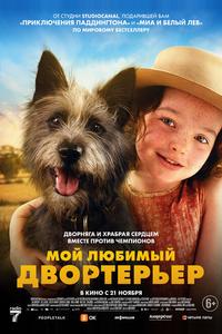 Мой любимый двортерьер Мой любимый двортерьер
