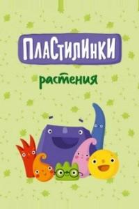 Пластилинки. Растения Пластилинки. Растения