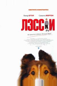 Лэсси Лэсси