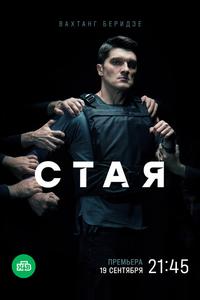 Стая Стая