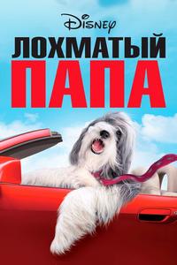 Лохматый папа Лохматый папа