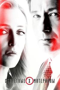 Секретные материалы Секретные материалы