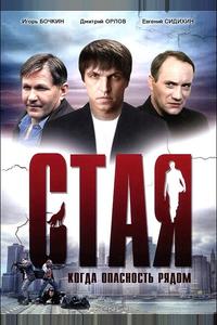 Стая Стая