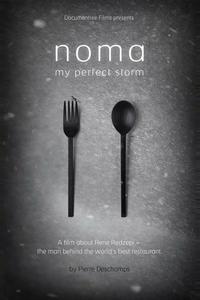 «Нома» – мой идеальный шторм «Нома» – мой идеальный шторм