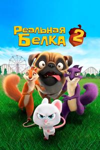 Реальная белка 2 Реальная белка 2
