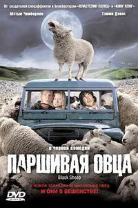 Паршивая овца Паршивая овца