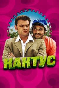 Кактус Кактус