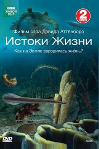 BBC: Истоки жизни BBC: Истоки жизни