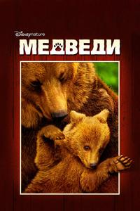 Медведи Медведи