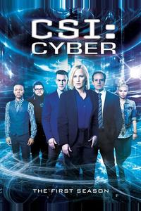 CSI: Киберпространство CSI: Киберпространство