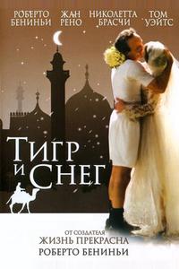 Тигр и снег Тигр и снег