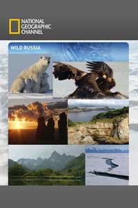 Дикая природа России Дикая природа России