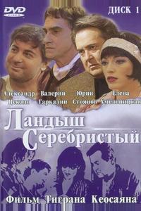Ландыш серебристый Ландыш серебристый