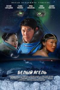 Белый ягель Белый ягель