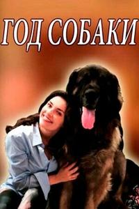 Год собаки Год собаки