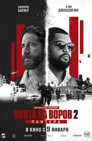 Охота на воров 2: Пантера