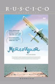 Метеоидиот