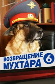 Возвращение Мухтара 6